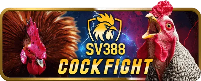 Ưu đãi nạp lại cho thành viên hiện có của bay365 link vào